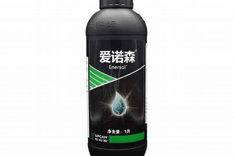 怎么给草莓苗补钙