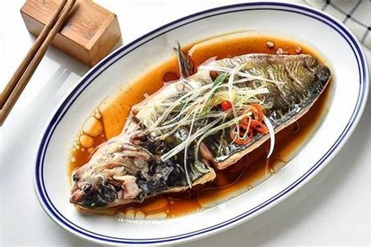 高蛋白鱼饲料品牌有哪些呢？