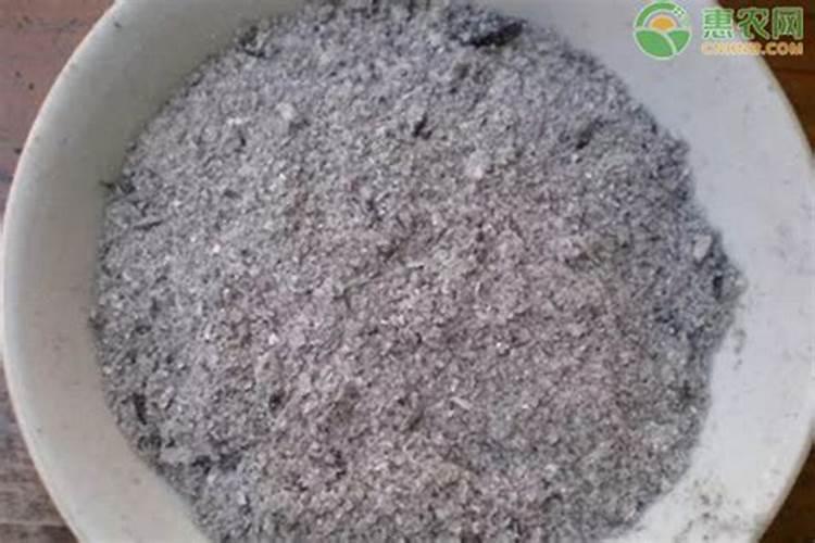 草皮刚种下多久能施肥