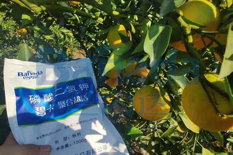 草莓专用叶面肥效果怎么样