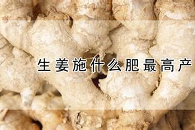 硫酸钾可以直接用做生姜底肥吗？