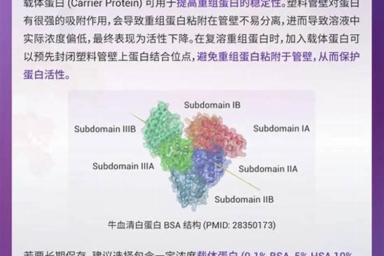 鱼蛋白怎么过滤出来