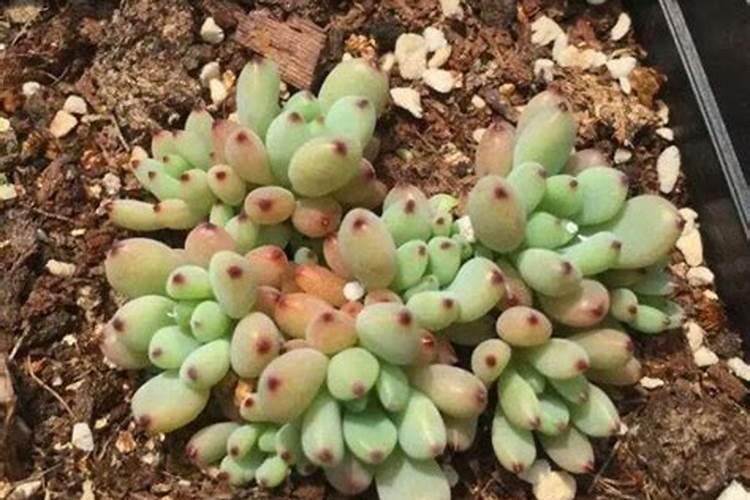 防盗门灌浆和打发泡胶的区别