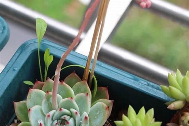 友硒旺富硒水补硒效果是不是真的那么好？