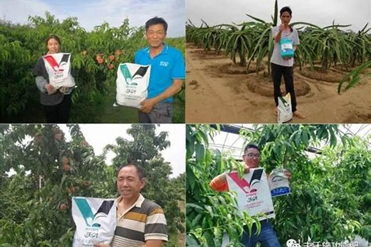 中国十大水溶肥料品牌