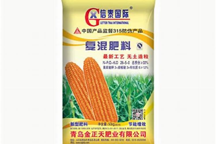 玉米百合的养殖方法