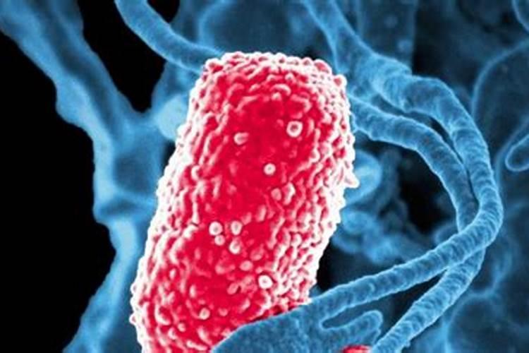 生物有机肥的国家标准