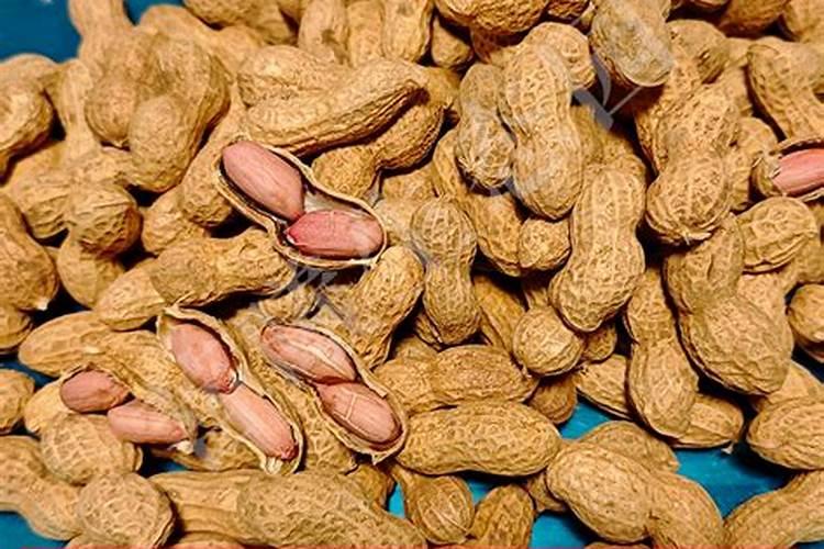 大姜种植中如何施肥