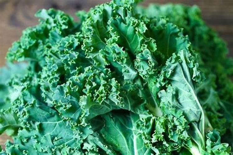 柚子树不结果怎么办