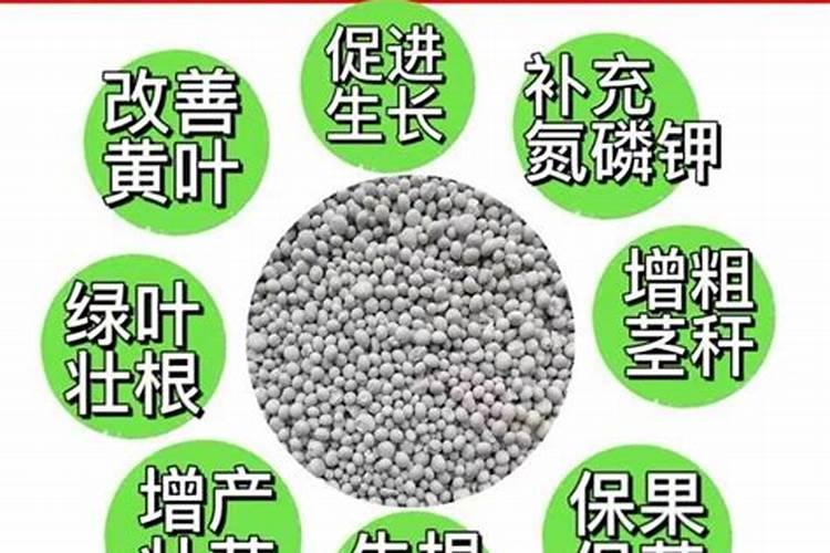 芸苔素使用十大禁忌