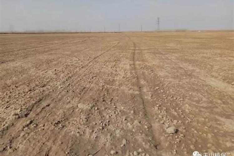 氮磷钾复合肥和钾化肥有区别吗