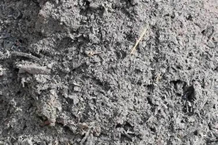 草木灰多久施一次 “草木灰的施用频率”