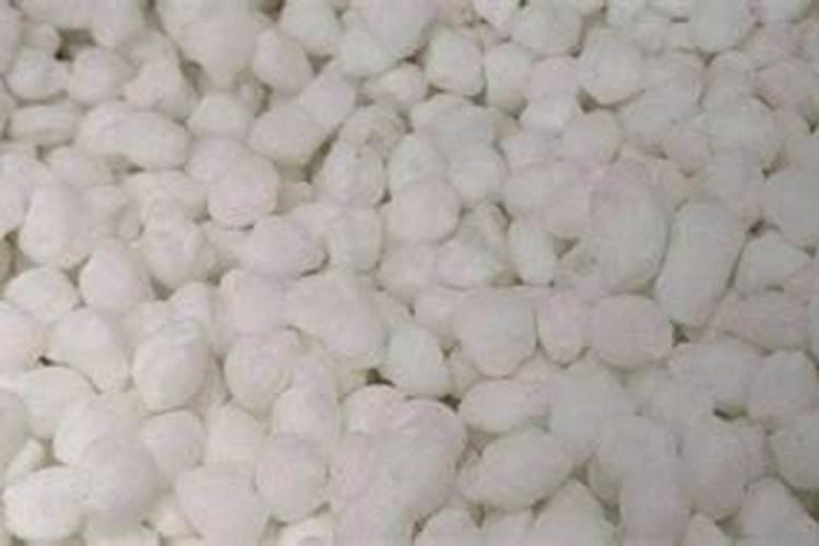 如何给百合花施肥