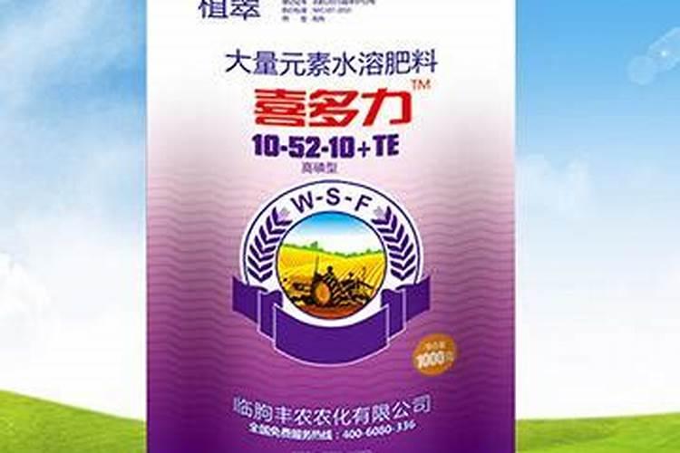 槟榔用什么叶面钙肥好