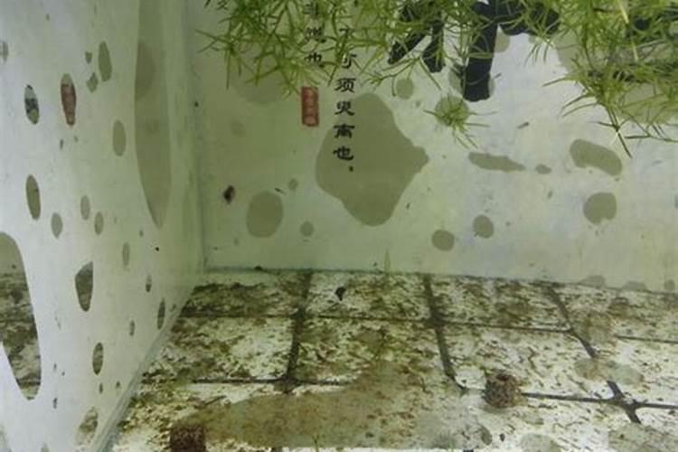 中国最好的硅肥生产企业有哪些？推荐几家,我想代理硅肥