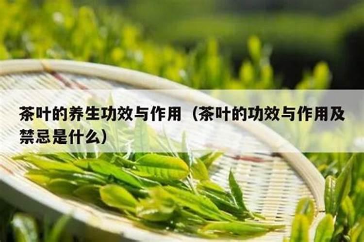 栀子花花苞期怎么施肥贴吧,栀子花花苞期间施什么肥