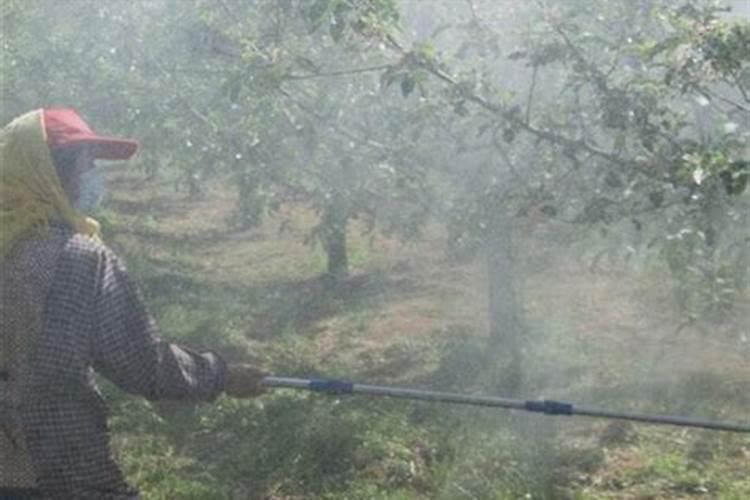 叶面肥打多了有害吗,打完多久下雨会影响