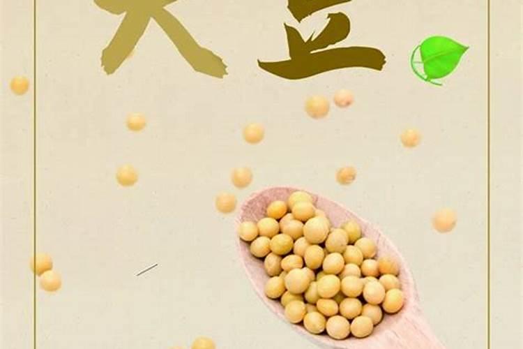 蛋白粉和鱼蛋白是一样吗？