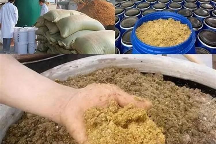 茉莉花的施肥方法