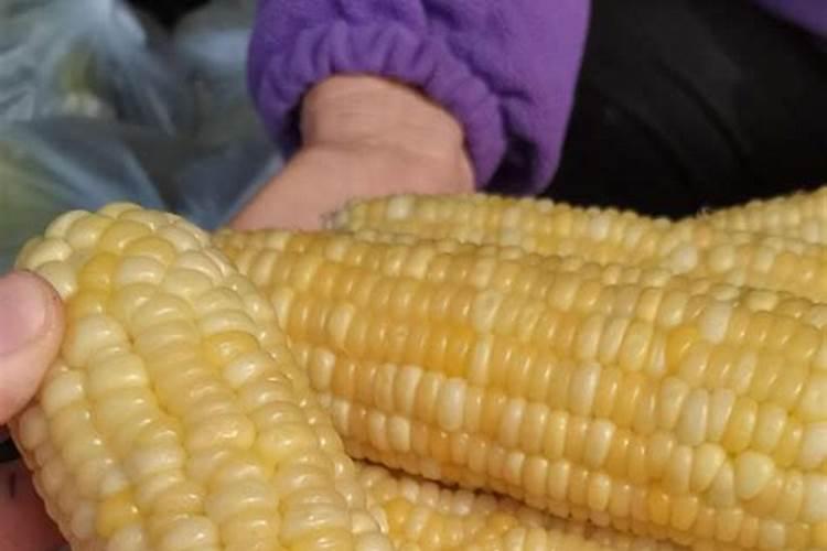 红四方玉米专用复合肥多少钱一吨？