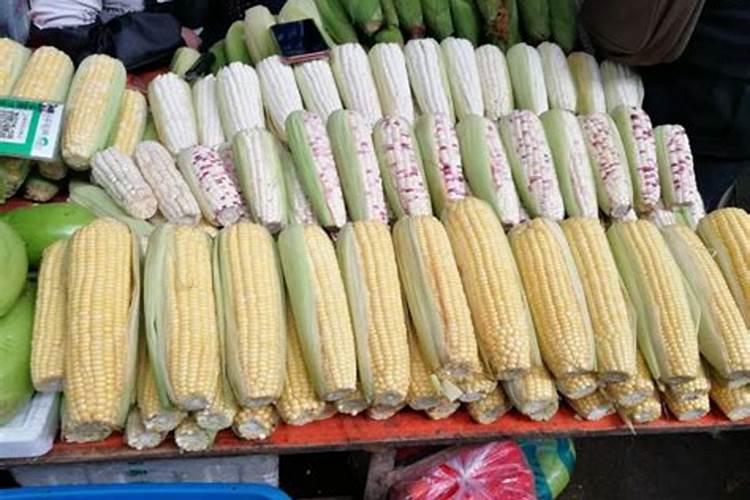 复合肥100斤价格表