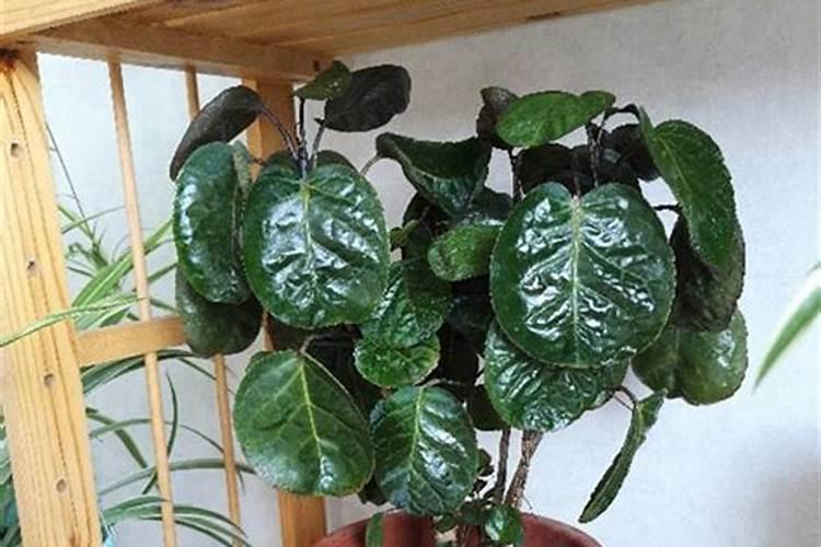 顽固汗渍最怕三个东西