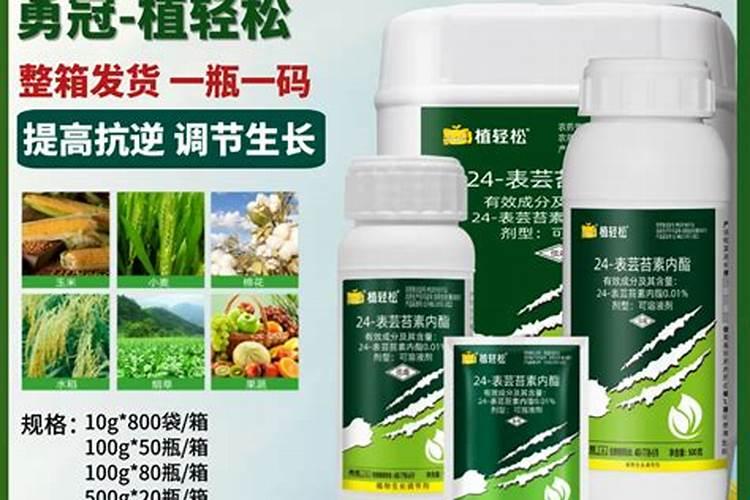 花肥用什么肥料最好