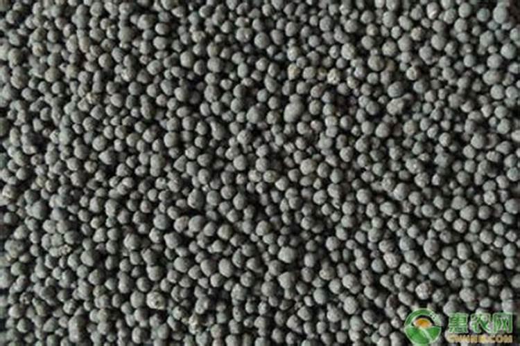 新鲜大蒜什么时候上市 大量上市的季节是几月