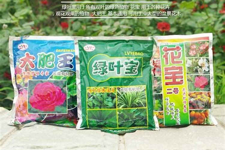 大肥王哪些花可以用