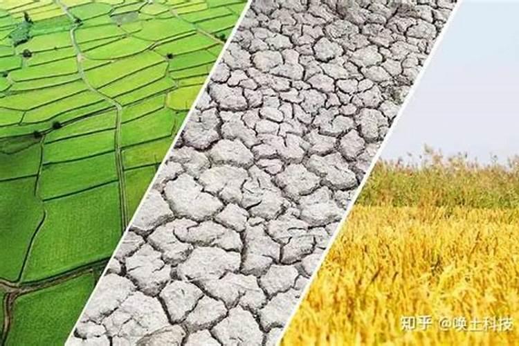 氮肥的使用方法和技巧