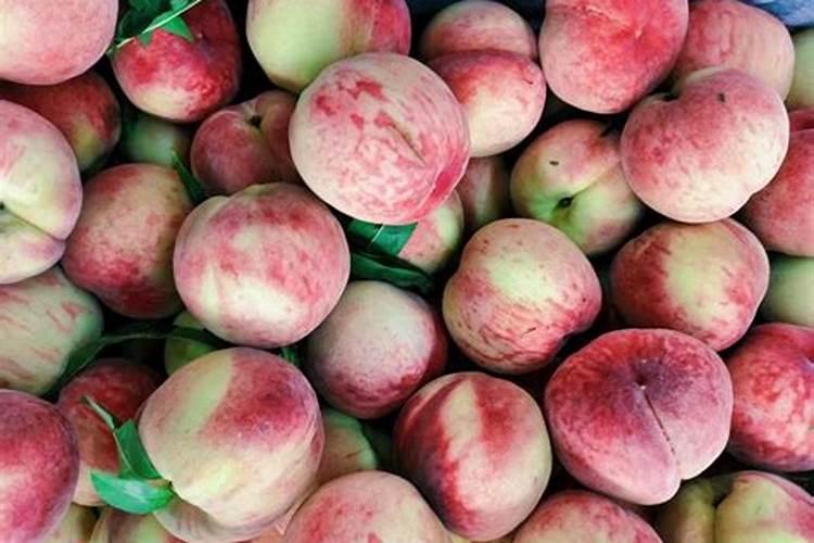 芒果催花方法 应使用什么药