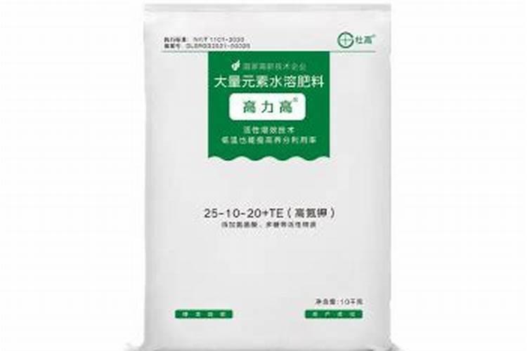 “阆苑仙葩”是什么意思？(最好着字解释!)