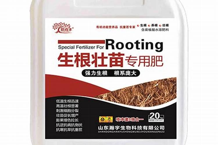 生根肥使用过程中应注意什么