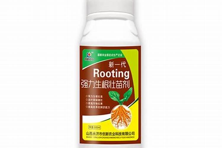 生根壮苗剂使用方法