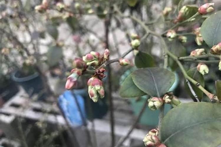 现在推动水肥一体化,那选哪种好？