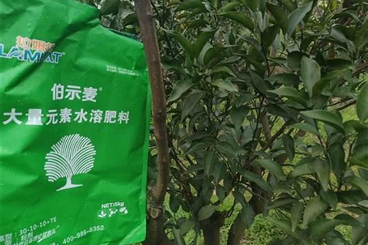 大蒜抽苔期追肥追什么化肥