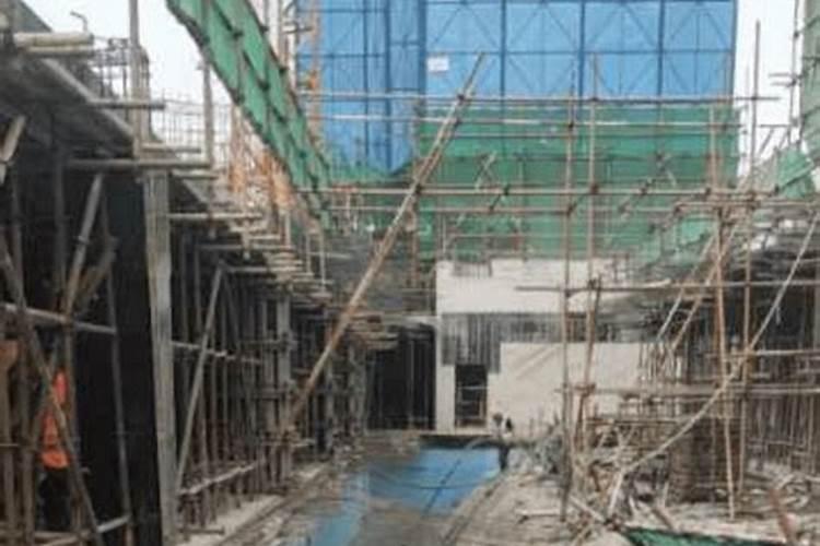 籽粒饱满是什么意思？