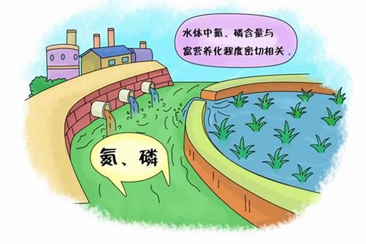 炭疽如何消杀