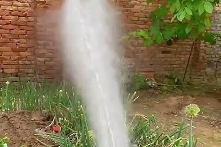 蔬菜多久浇一次尿水