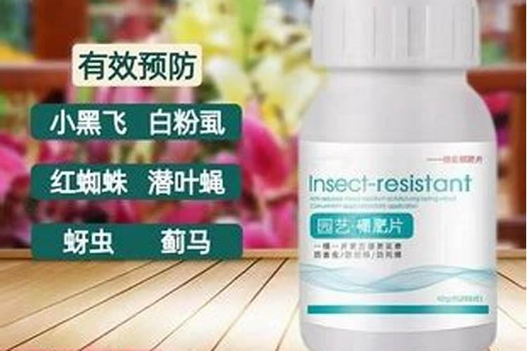 硼肥防虫片靠谱吗