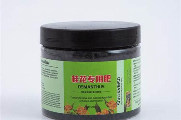 桂花树专用肥有哪些 施肥注意事项