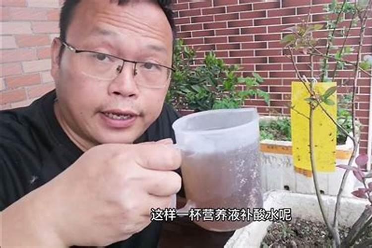 蓝莓施肥的最佳时间