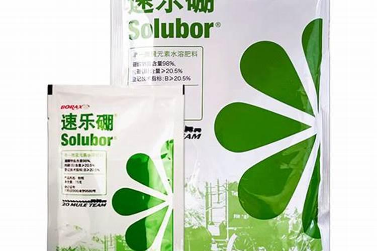 果树在花蕾和开花期能喷雾农药吗