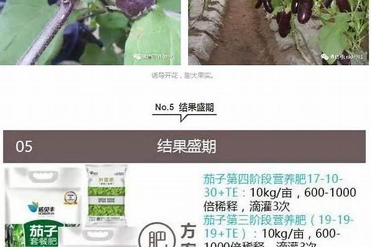 盆景施肥后多久浇水 “盆景施完肥需要等多久才能浇水？”