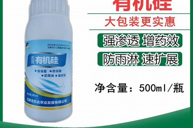 大蒜什么地方产的最好