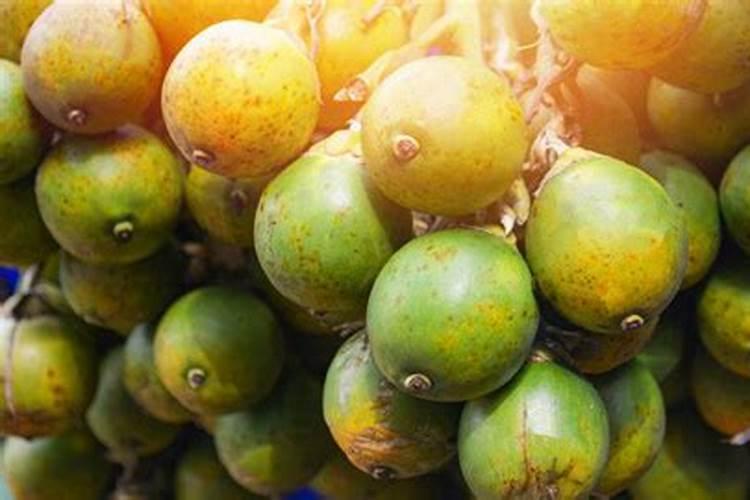 氮磷钾复合肥怎样浇花