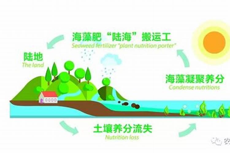 初冬葡萄管理的三点注意事项