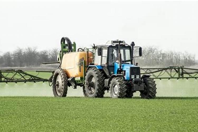 桔子树什么时候移栽最好