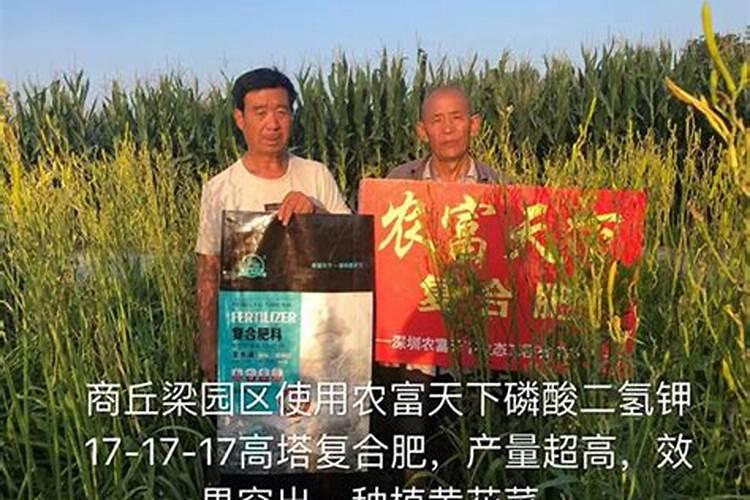 多肉施什么肥料好(多肉植物养护秘籍,揭秘多肉施什么肥料好,助力植物健 ...