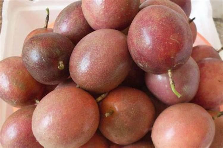 钙镁磷肥是复合肥吗 钙镁磷肥能和复合肥混施吗